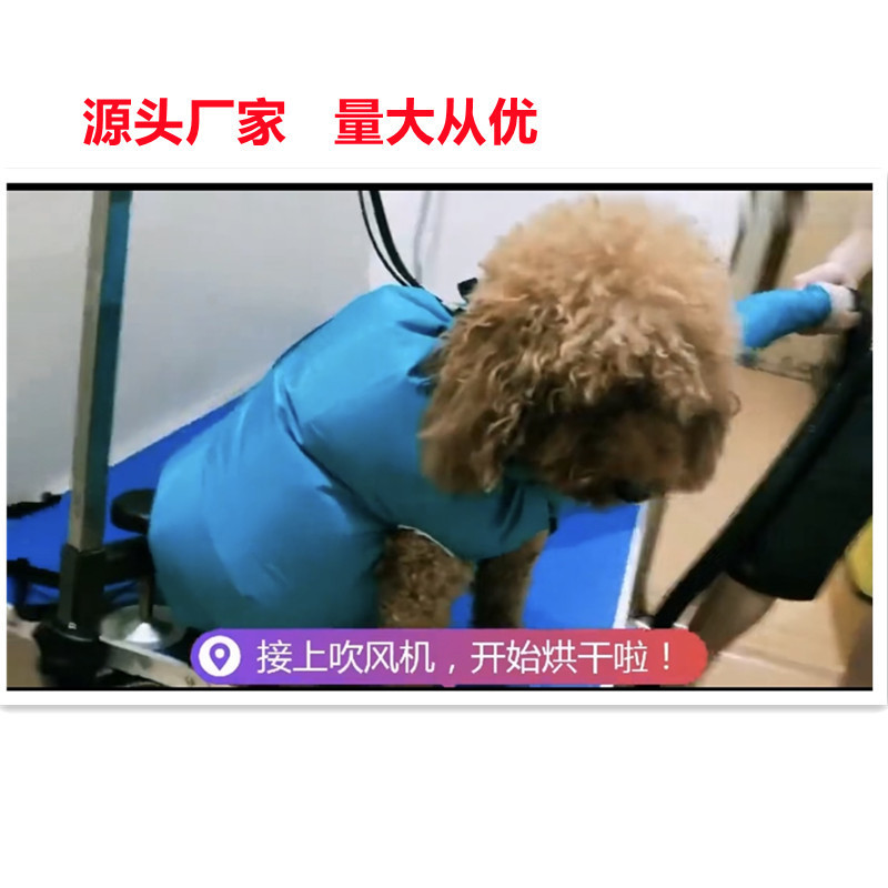 ペット乾燥箱ペット犬猫風呂毛吹き器ペット犬乾燥袋卸売り|undefined