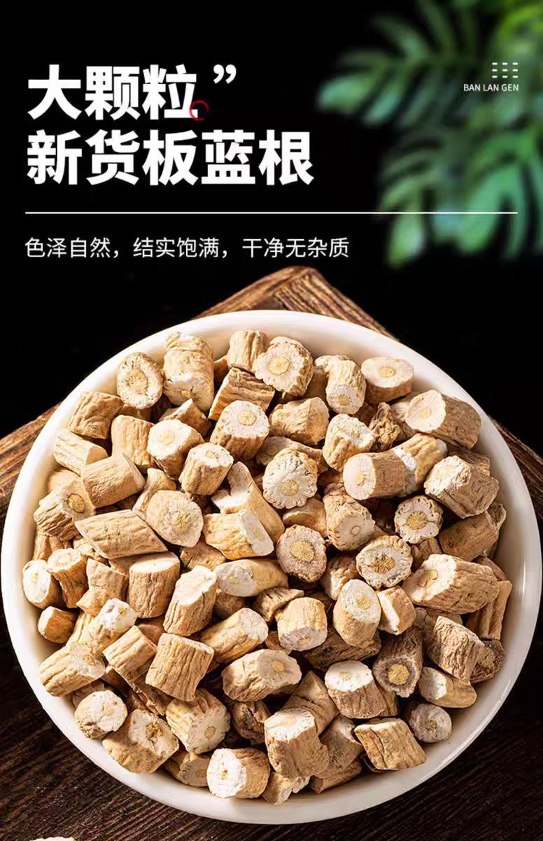 Ban Lan Gen Pieces (Isatis indigotica) — Dried Food Herb Root Slices for Tea, 500g overview