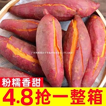 ���r����10��t���F�ڰ������ع����ķ���ɳ���r���ԷNɽ��С����