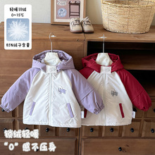婴幼儿冲锋衣羽绒内胆冬季加厚宝宝棉外套三合一可拆卸两件套 a类