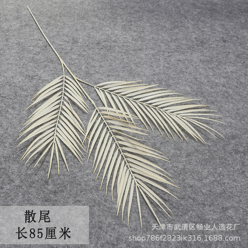 벌크 꼬리 1
