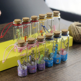 A Box of 12 Lucky Constellation Wishing Bottles, Small Glass Bottles, DIY Cork Drift Bottles, Handmade Mini Heart Wishing Bottles