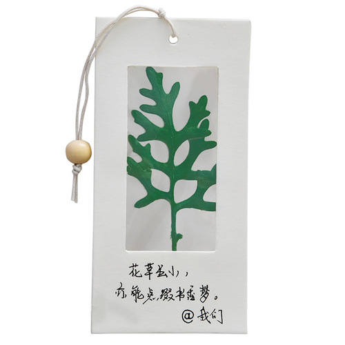 Specimen Bookmarks Dried flower embossed Bookmarks Handmade diy material bag Transparent plant leaves specimen for students