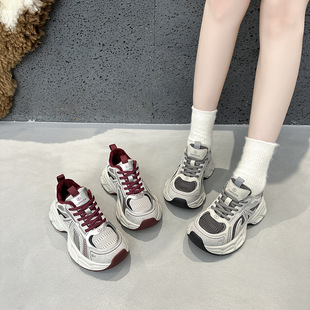 Retro Thick Bottom Torre Shoes 2024 New Fall/Winter fleece-lined Ankora Red Double Shoelace sneaker Breathable Women's Shoes