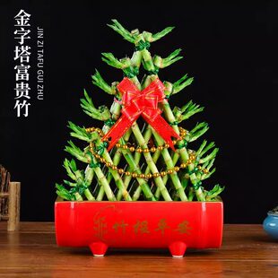 �������F��ˮ�B�lؔ�����׺��B��͏d�k����ˮ��ֲ������՚�