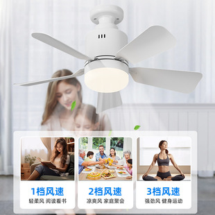 Cross-Border Popular Household Fan Lamp E27 Detachable Fan Blade Lamp Restaurant Bedroom Remote Control Ceiling Fan Lamp Zhongshan Lamps