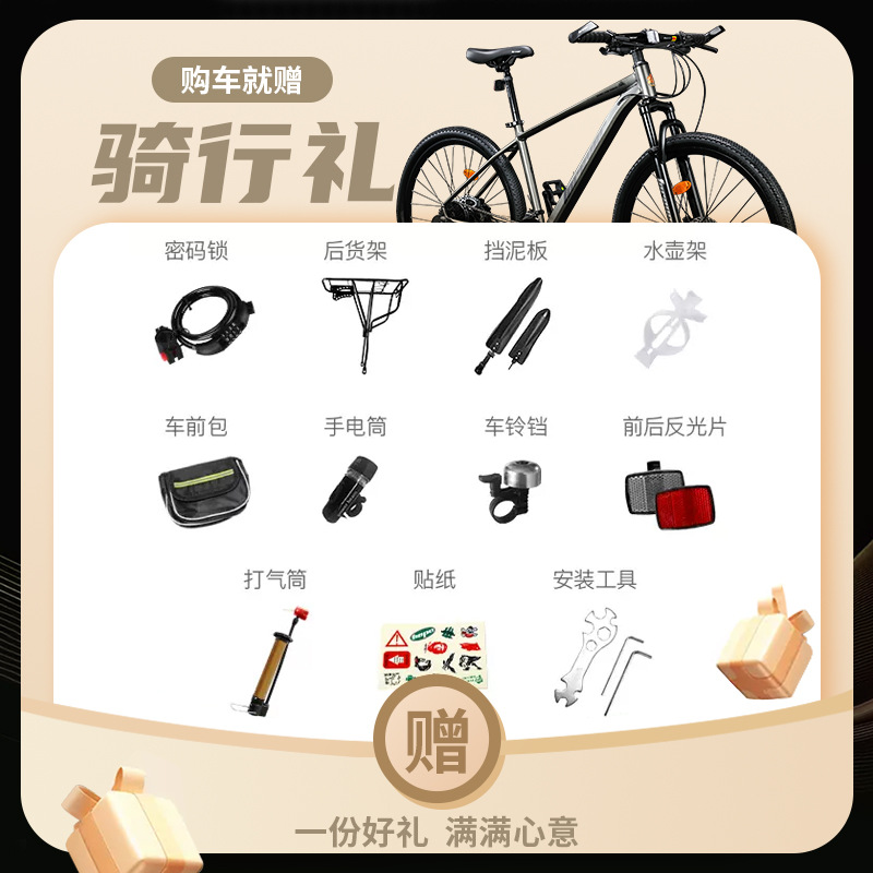 Permanent Brand Mountain Bike Adult Men and Women Aluminum Alloy Off-road Racing Teenagers and Students Highway Variable Speed Bicycle
