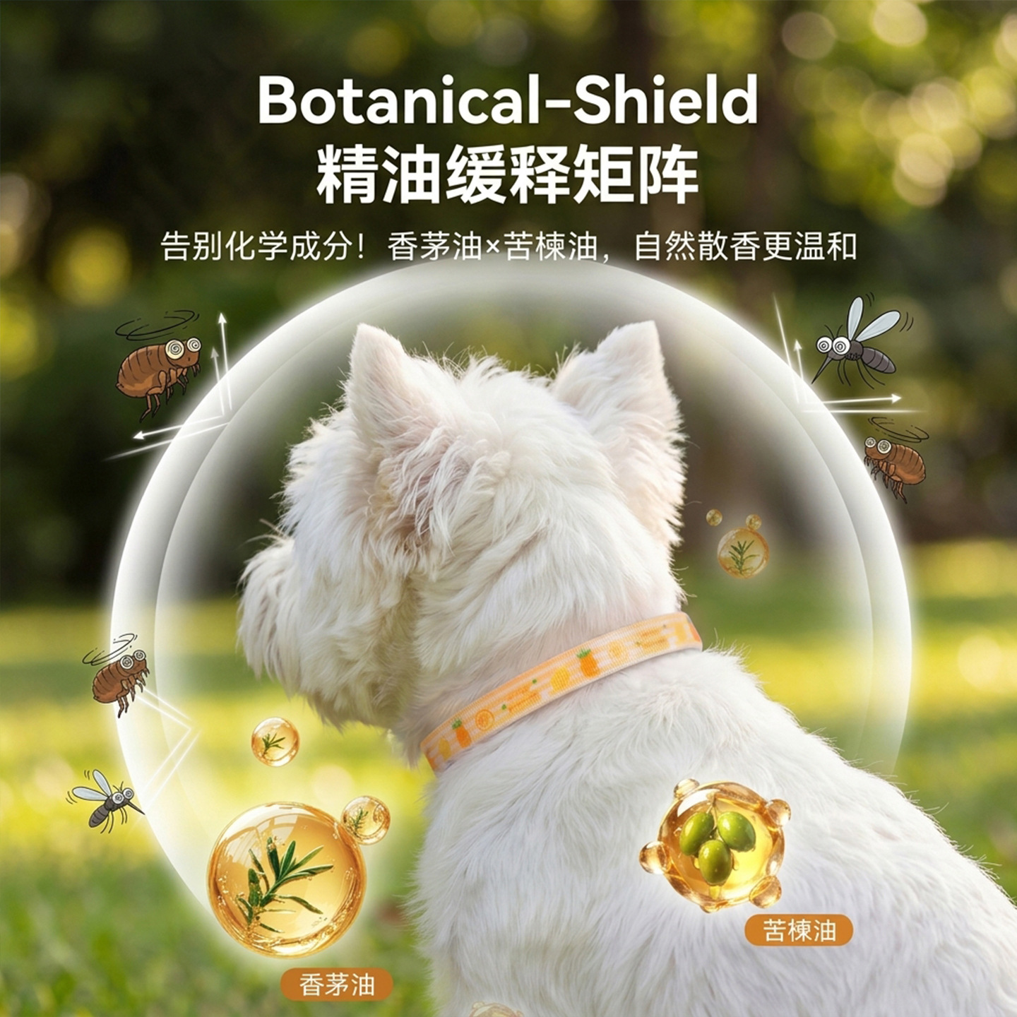 Collar de aceite esencial vegetal de verano lejos de los mosquitos perros gatos para salir collar de perros pequeños y medianos para mascotas