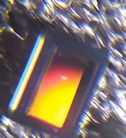OV07955-N53V-PE датчик изображения OmniVision (OVI Technology)
