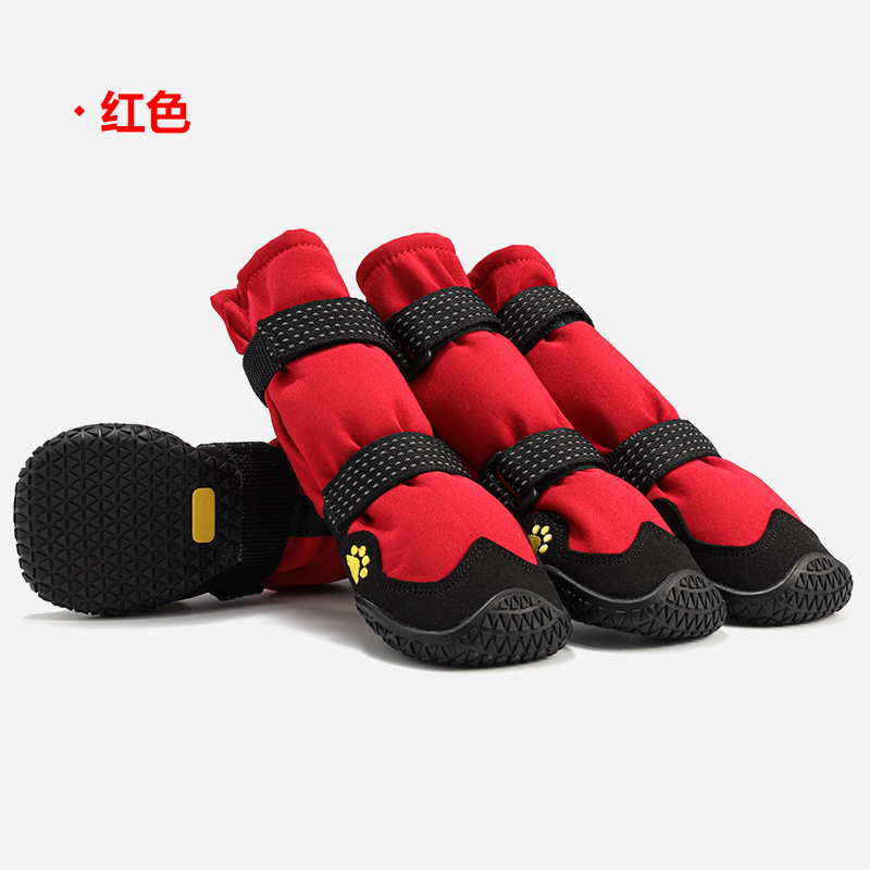 中文 (9)