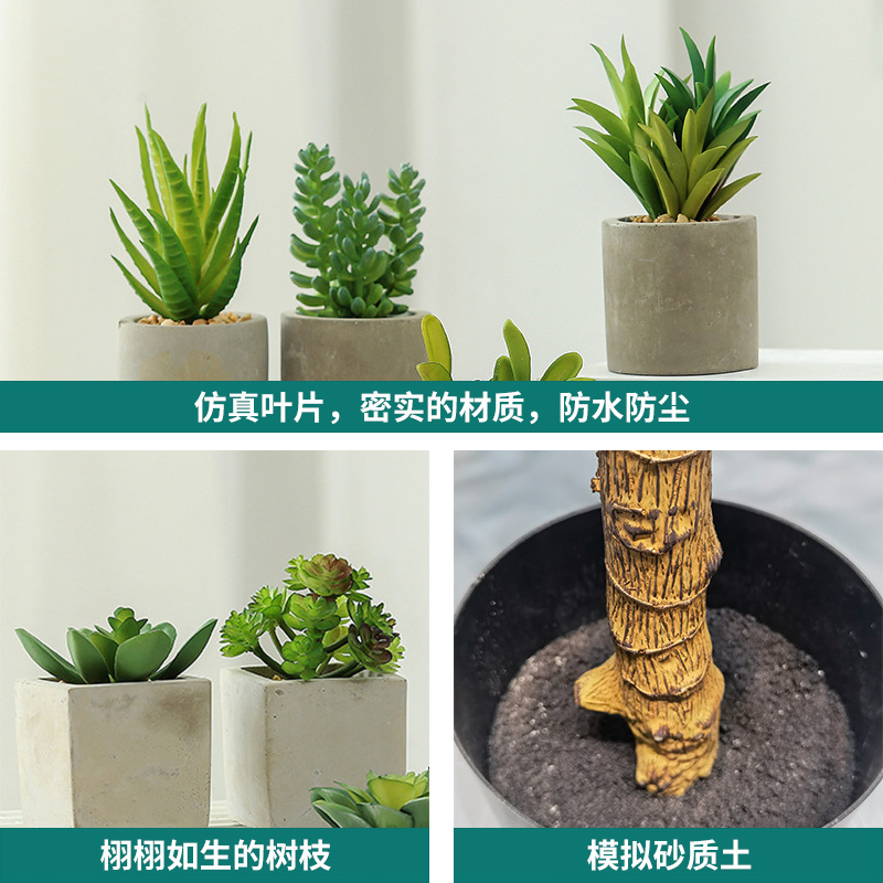 Planta suculenta artificial, maceta decorativa para hogar, bonsái verde, accesorio decorativo