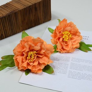 �ͮ�ĵ��С̖������控�~ĵ���������ݳ����b�b������c�F��