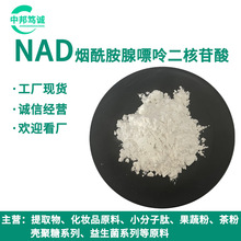NAD烟酰胺腺嘌呤二核苷酸  98%  二核苷酸 工厂现货