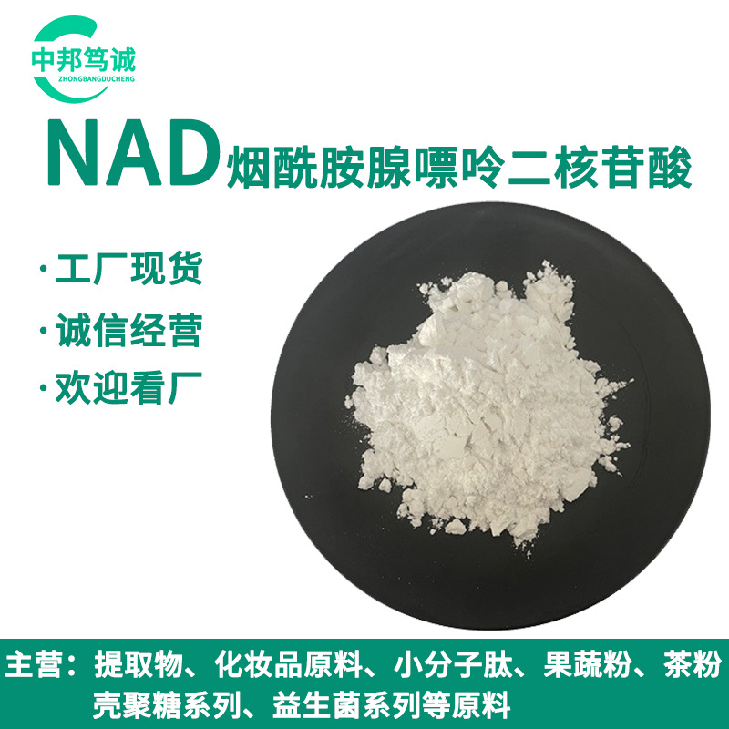 NAD烟酰胺腺嘌呤二核苷酸  98%  二核苷酸 工厂现货