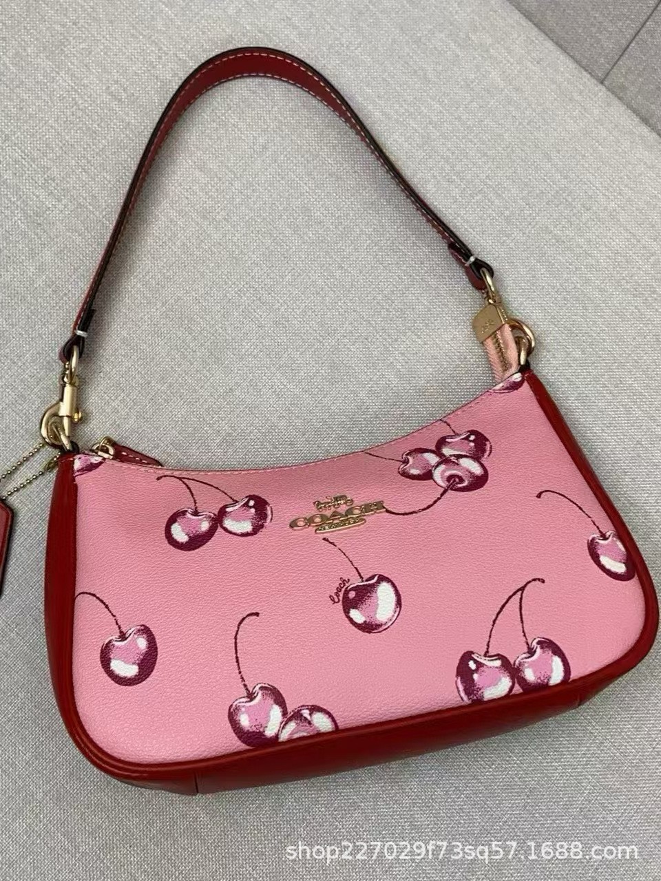 Europa y América Cross-border C Home New Cherry Blueberry Fruit Impreso Bolso Teri Axilas Bolso de mensajero de un solo hombro para llevar