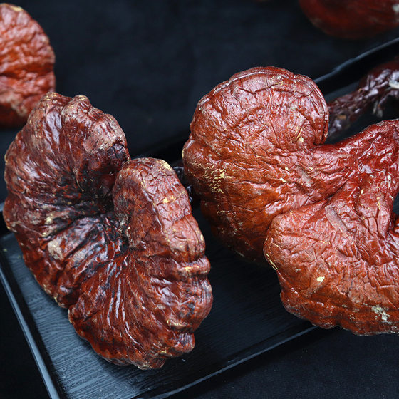Changbai Mountain Ganoderma lucidum dry goods whole branch red ganoderma lucidum whole flower Linzhi brewing wine tea soup sliced Chinese herbal medicine wholesale