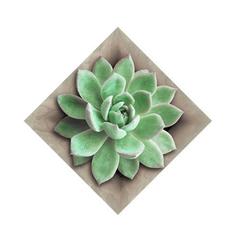 V5HA批發牆貼紙廚房浴室衛生間防水瓷磚貼畫遮蓋瑕疵修補洞釘孔遮