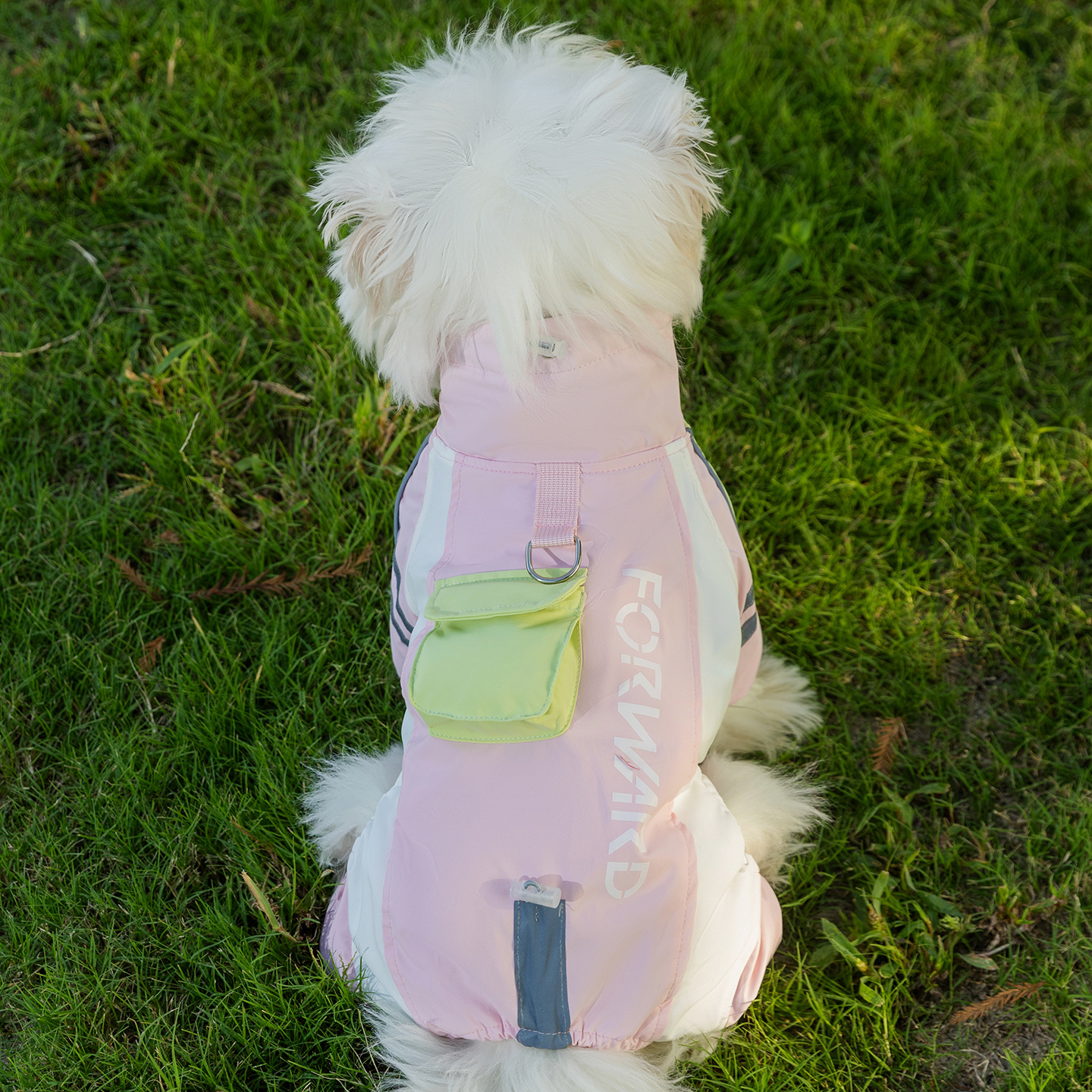 Otoño y invierno nuevo explorador tres cuatro patas de asalto abrigo de algodón caliente perros pequeños y medianos perros gatos que ropa de oso image 8