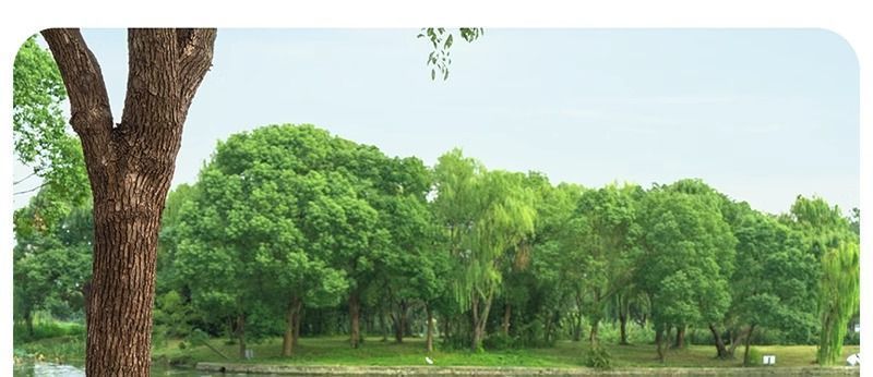 b40c6324-5445-4977-94f0-8b4e0426530f.jpe