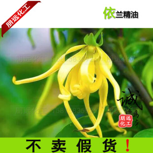 ���l���� �����M�����m���� ���m����Ylang diy�o�wƷԭ��