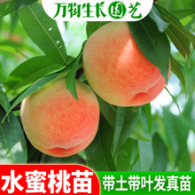 ������ �\���S�ҹ����� ˮ������ �����Ҙ��� �����Ϸ��N�����Nֲ