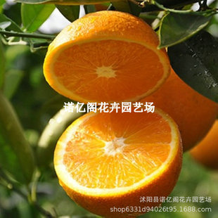��������ʿĚ�� �޽�Ě�Ș��� �S��������箔��Y�����Ե��Թ���