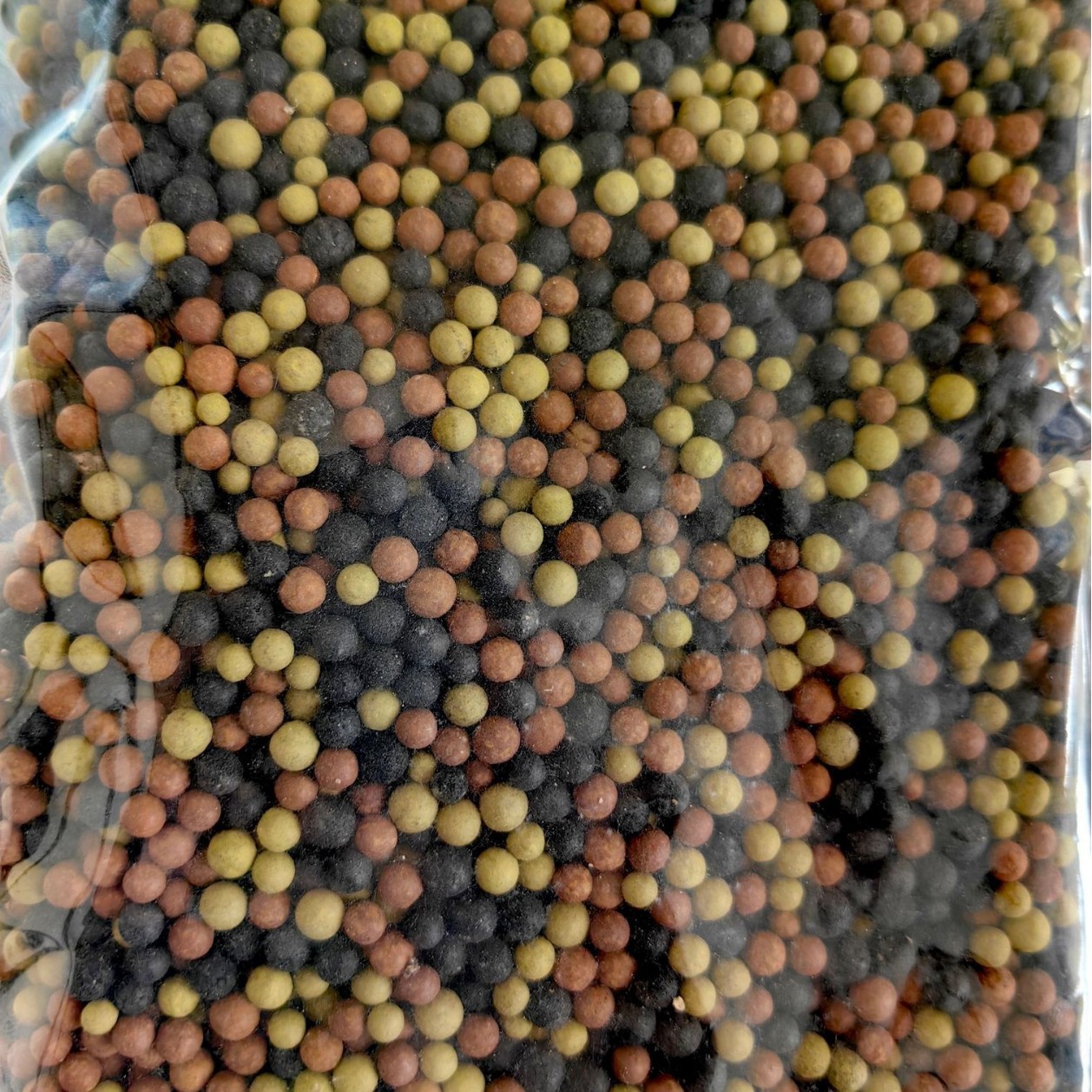 粪硫菌颗粒菌团净化水质水产养殖生物降解硫化氢氨氮水处理粪硫菌