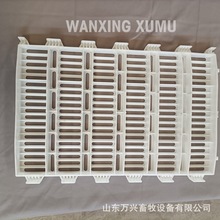 养猪场 猪粪板 塑料猪粪板 仔猪塑料漏粪板 价格