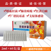 兽药恩诺沙星溶液兽用仔猪保命液黄痢白痢红痢气喘水肿病呼吸道病
