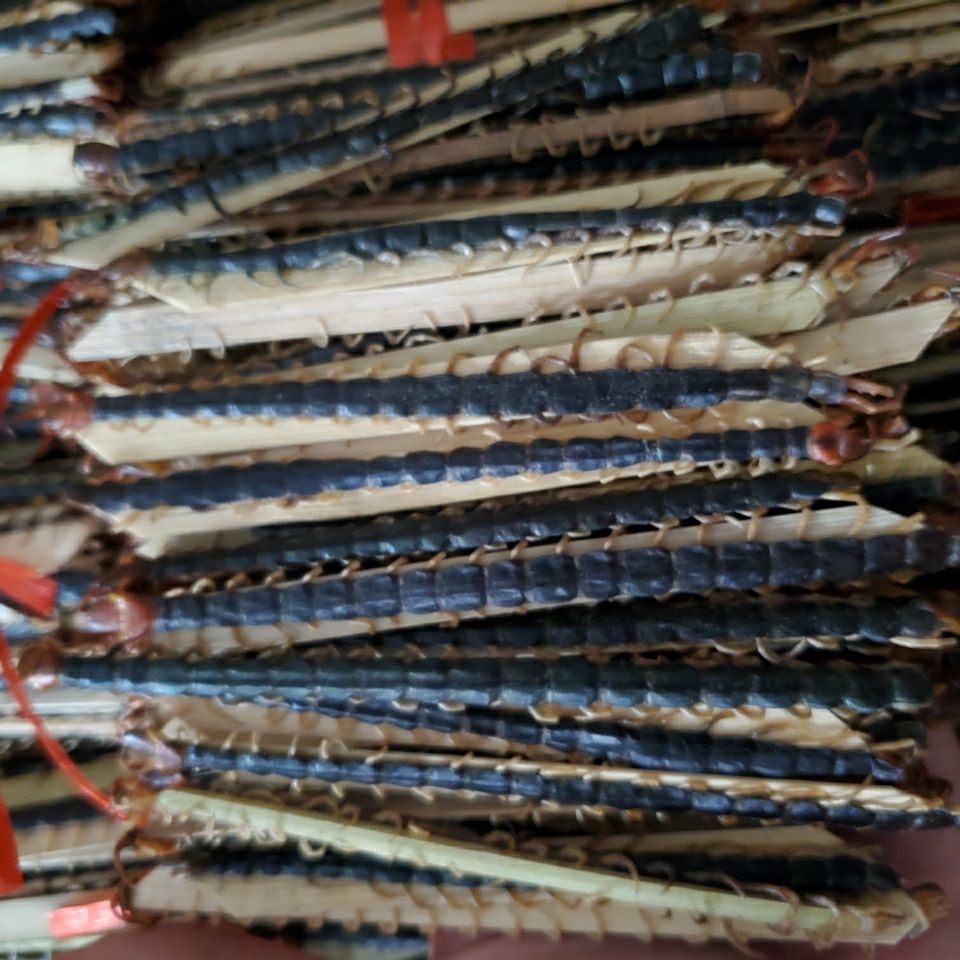 O1CN01K23uL01Gn4n6F6Nuz_!!9485