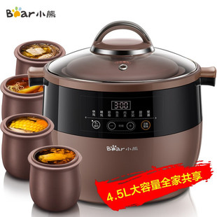 Bear Electric Stew Pot Ddz-B45Z1-Ddz-C25E1-Ddz-J25H5-Ddz-B45B2-Ddz-C25X6