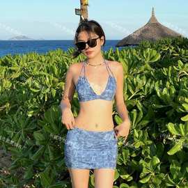 2024新款新款韩版泳衣女分体比基尼性感纯欲风女孩温泉泳装bikini
