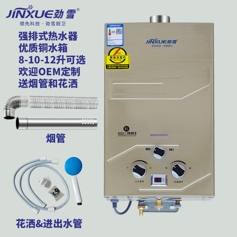 批发强排燃气热水器厂带排烟功能热水器家用即开即热液化气天然气