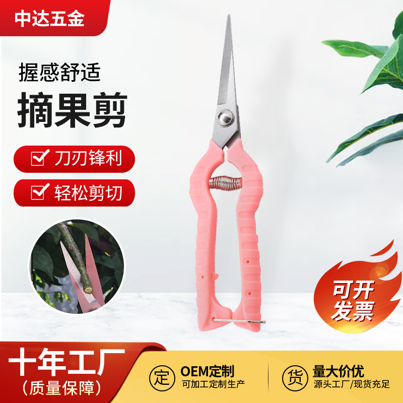 阳江不锈钢直头戴齿树枝修剪剪刀 园林粗枝剪花艺专用剪刀修枝剪