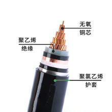 �����˼��~늾�YJV62��|��1/1.5/2.5ƽ���߉��~о��|���l