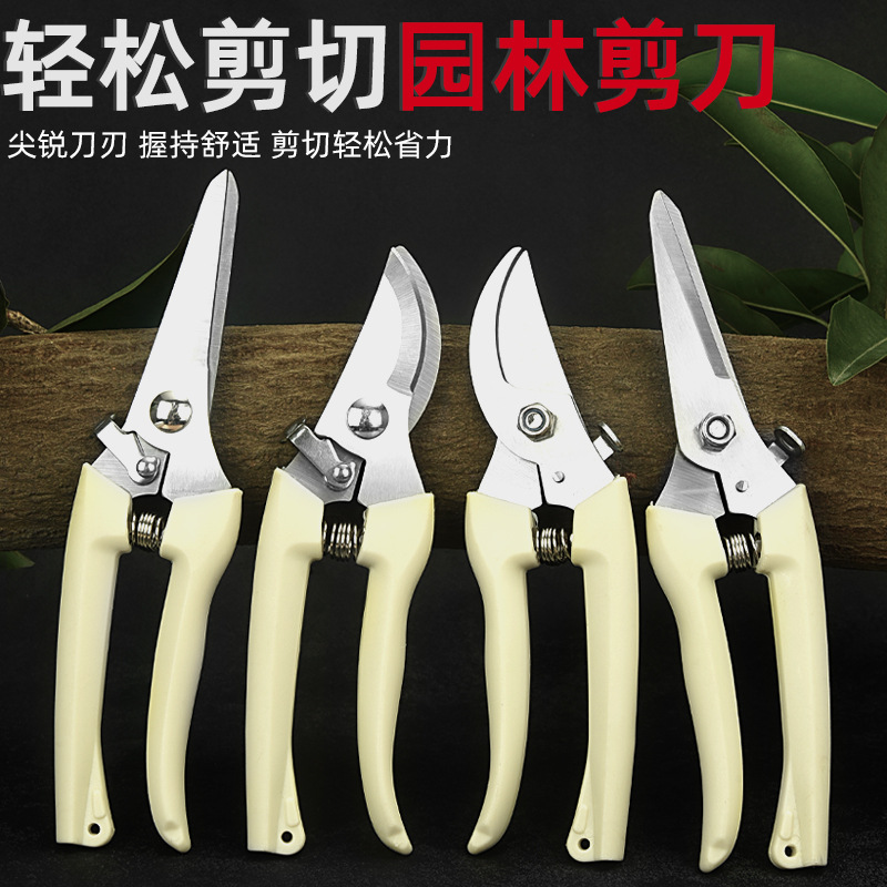 花艺师插花剪刀修枝剪园艺花枝花卉修剪树枝盆景鲜花剪子工具