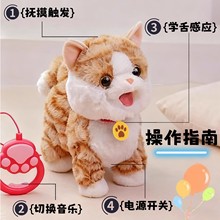 ë�q늄�С�����挙�ﹷ������·̩�Ϲ���ͯ������߹�