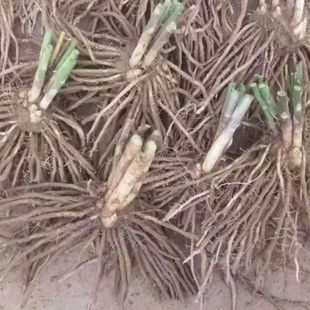 �J�S���硾�ʝɡ��F�ڸ���N���ļ��Nֲ�ˈ@���@����̨���ԾGɫ