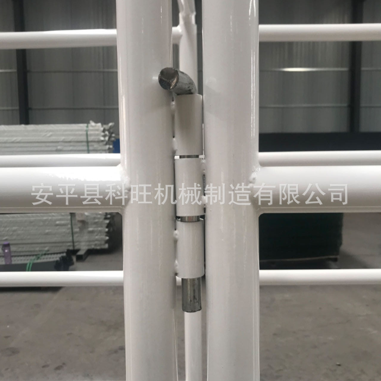 Valla de cría de animales de exportación Valla de aislamiento de cría Valla de ganado vacuno, ovino y caballo de hipódromo móvil