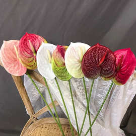 婚庆仿真花手感红掌白掌绿掌3D打印软装插花摄影道具小伙鹤彩色掌