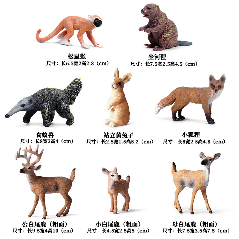 C 야생 동물 8 (소)