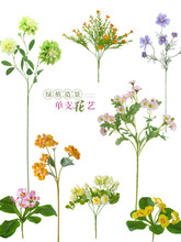 ����ٻ�����Ұ�Ո󴺔[�O�͏d�����b廨��ˇ��֧���