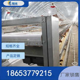 清粪带安装尺寸 鸡棚清粪带安装图片 pp清粪带