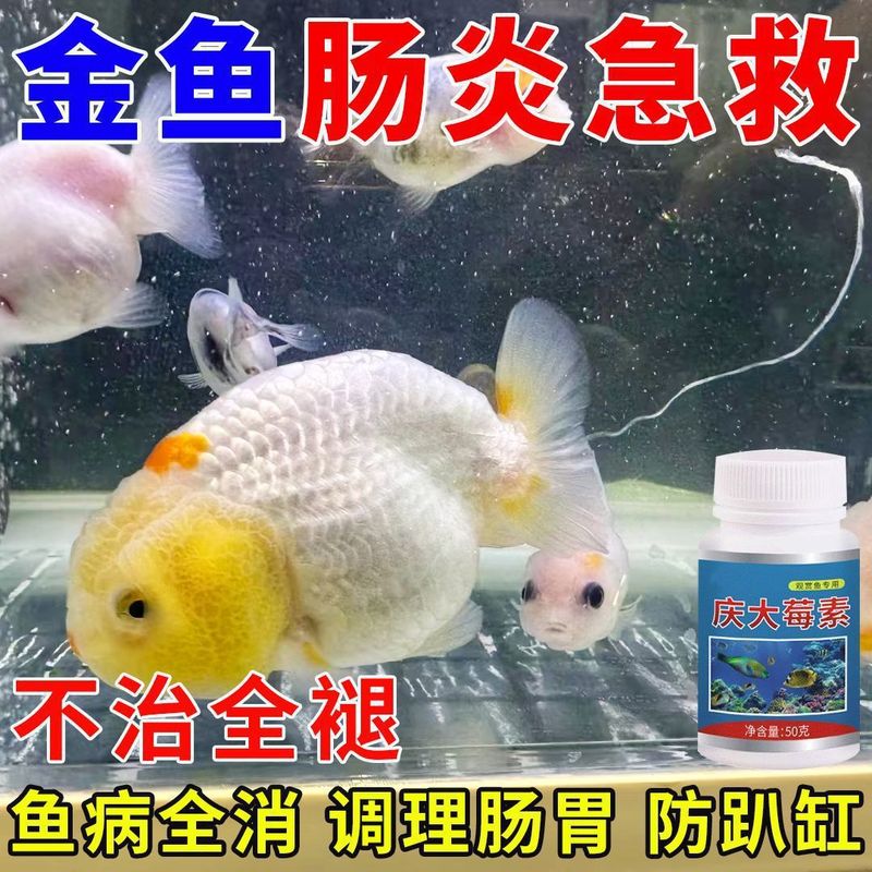 クエンタミシン魚専用、腐った体、腐った尾、白い斑点、白い毛、リンの欠落、目隠し、殺菌、消毒、リハビリテーション、殺菌|undefined