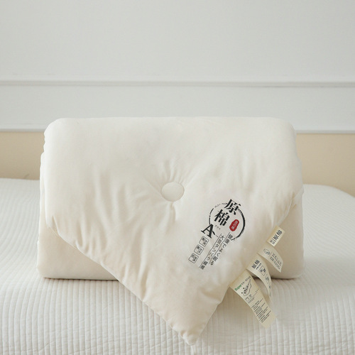 Japanese imported cross-border Japanese cotton soybean baby-grade antibacterial autumn and winter quilt core thickening warm quilt