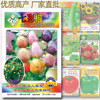 Vegetable Seed Company Four Seasons Easy-to-Season Featured Vegetable Vegetable Seeds wholesale-About 50 Certain Colorful Pepper Pepper Seeds