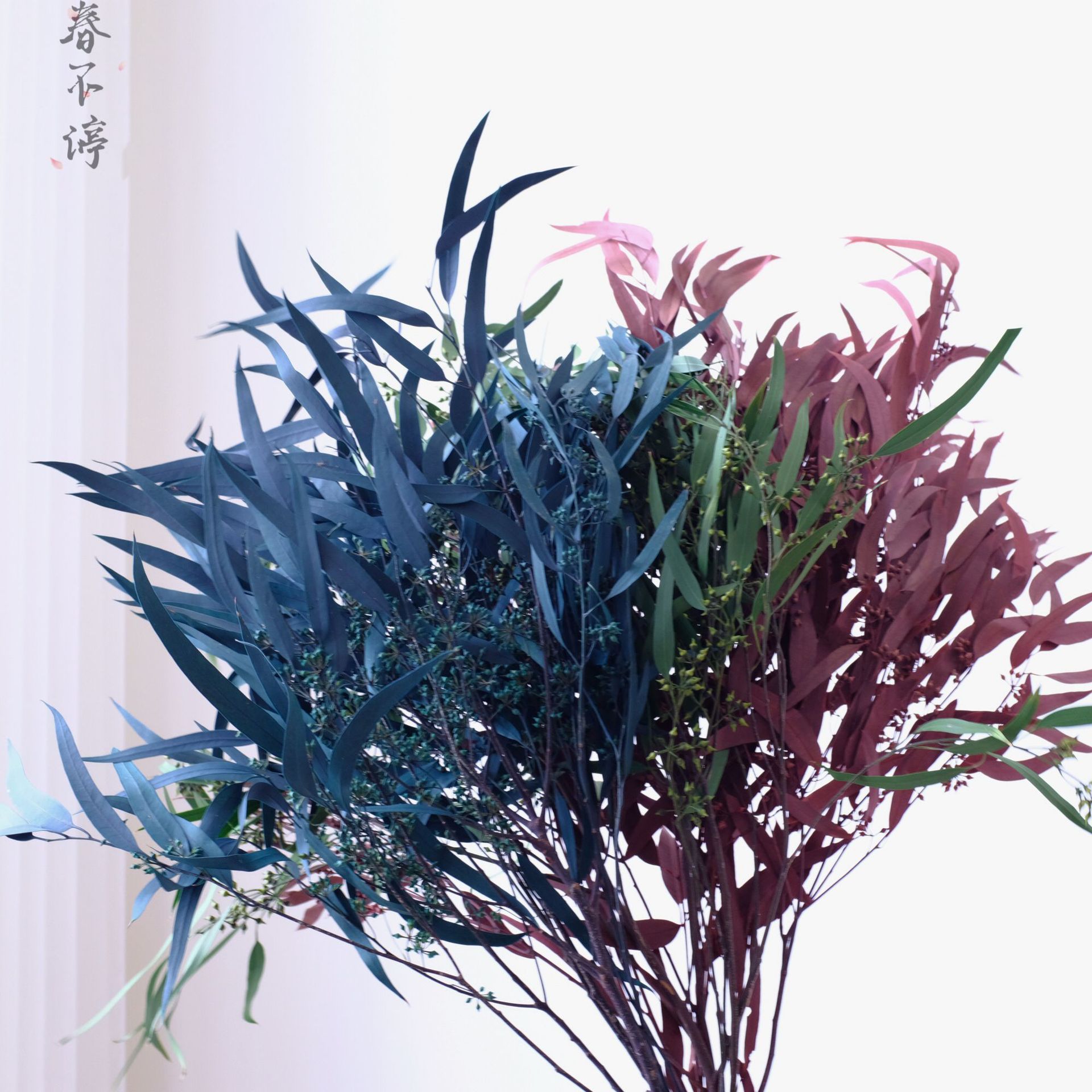 Immortal millet fruit leaves, eucalyptus leaves, copper coin eucalyptus fine leaves, eucalyptus photography props, decorative flowers manufacturers wholesale