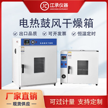 电热鼓风干燥箱恒温烘箱烤箱实验室工业商用烤箱老化箱