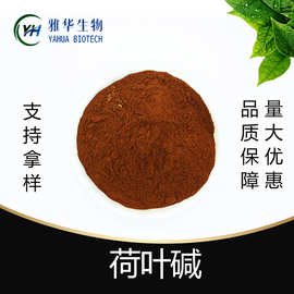 荷叶碱 雅华生物 荷叶提取物 荷叶黄酮粉 475-83-2 水溶性