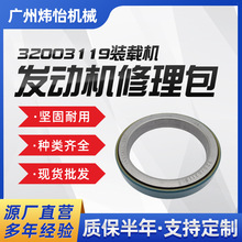 JCB444bdClәC ׉|ͷ32003119  3CX 4CXbdC